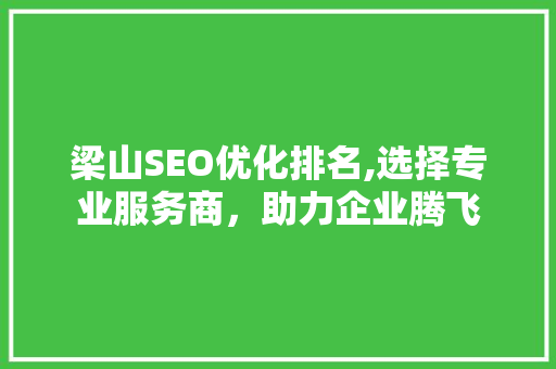 梁山SEO优化排名,选择专业服务商，助力企业腾飞  第1张