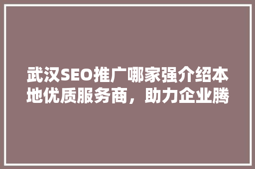 武汉SEO推广哪家强介绍本地优质服务商，助力企业腾飞