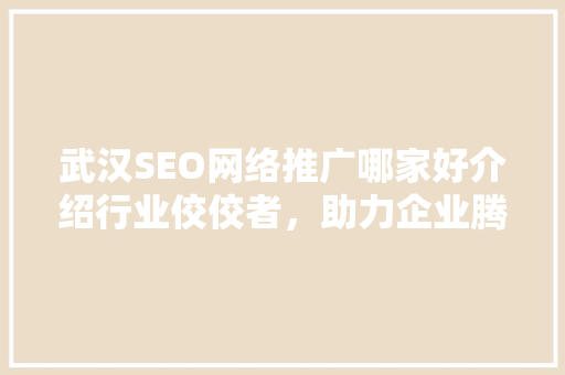 武汉SEO网络推广哪家好介绍行业佼佼者，助力企业腾飞