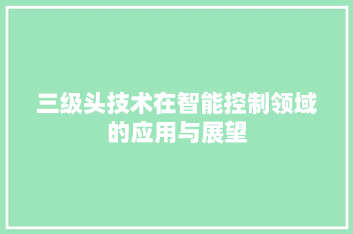 三级头技术在智能控制领域的应用与展望