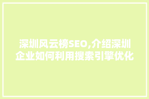 深圳风云榜SEO,介绍深圳企业如何利用搜索引擎优化步骤脱颖而出