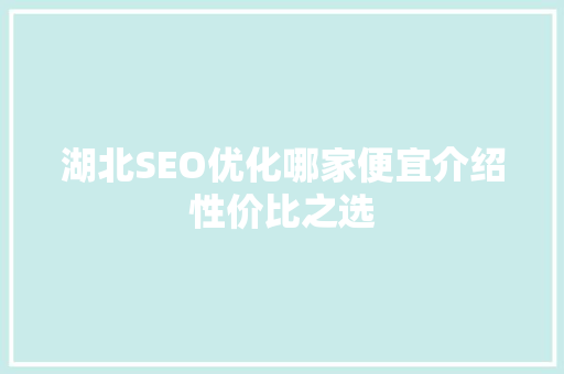 湖北SEO优化哪家便宜介绍性价比之选