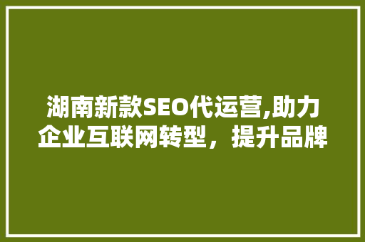 湖南新款SEO代运营,助力企业互联网转型，提升品牌竞争力