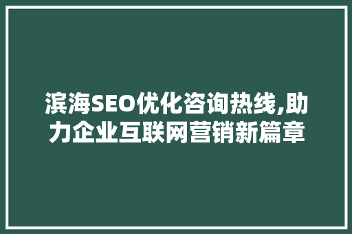 滨海SEO优化咨询热线,助力企业互联网营销新篇章