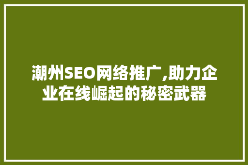 潮州SEO网络推广,助力企业在线崛起的秘密武器
