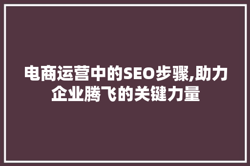 电商运营中的SEO步骤,助力企业腾飞的关键力量