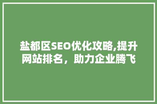 盐都区SEO优化攻略,提升网站排名，助力企业腾飞