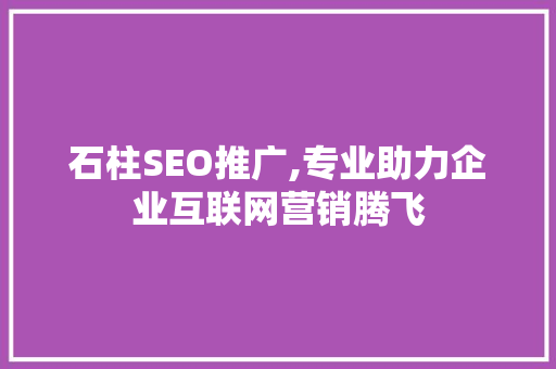 石柱SEO推广,专业助力企业互联网营销腾飞