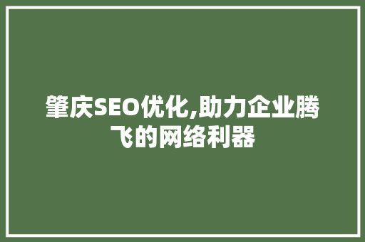 肇庆SEO优化,助力企业腾飞的网络利器