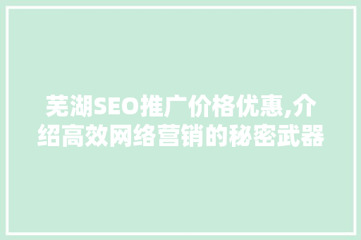 芜湖SEO推广价格优惠,介绍高效网络营销的秘密武器