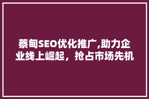 蔡甸SEO优化推广,助力企业线上崛起，抢占市场先机