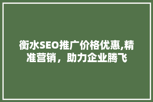 衡水SEO推广价格优惠,精准营销，助力企业腾飞