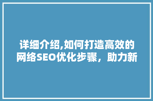 详细介绍,如何打造高效的网络SEO优化步骤，助力新建区网络发展