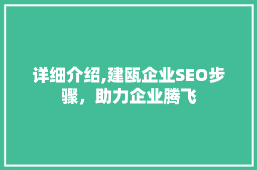 详细介绍,建瓯企业SEO步骤，助力企业腾飞