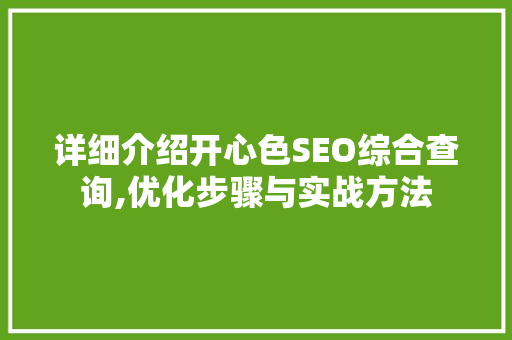 详细介绍开心色SEO综合查询,优化步骤与实战方法