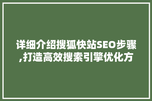 详细介绍搜狐快站SEO步骤,打造高效搜索引擎优化方法