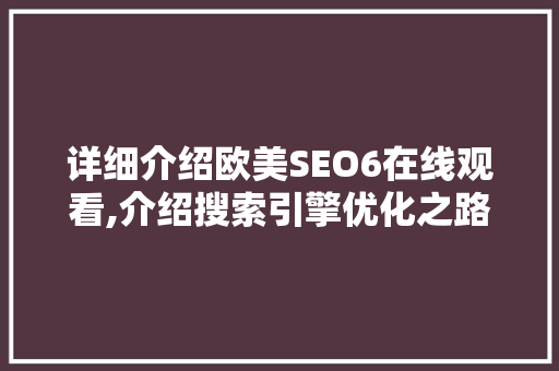 详细介绍欧美SEO6在线观看,介绍搜索引擎优化之路