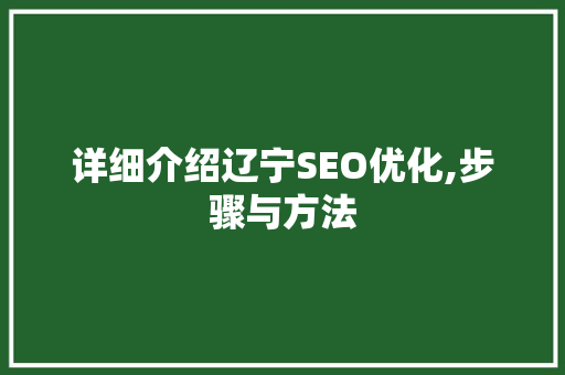 详细介绍辽宁SEO优化,步骤与方法