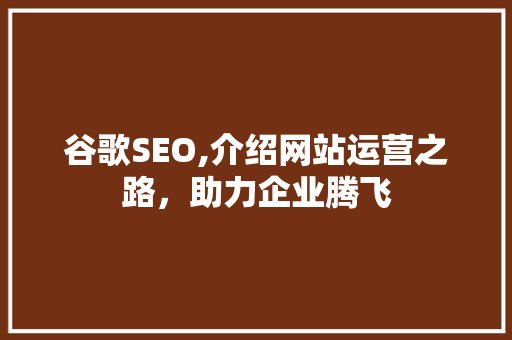 谷歌SEO,介绍网站运营之路，助力企业腾飞
