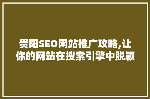 贵阳SEO网站推广攻略,让你的网站在搜索引擎中脱颖而出