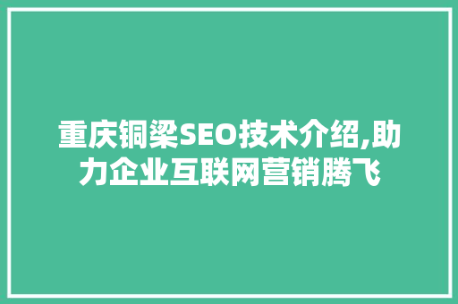 重庆铜梁SEO技术介绍,助力企业互联网营销腾飞  第1张