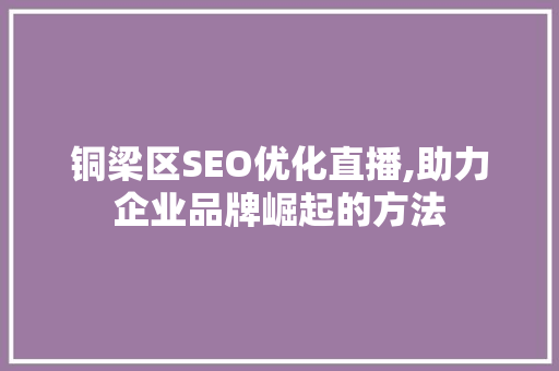 铜梁区SEO优化直播,助力企业品牌崛起的方法