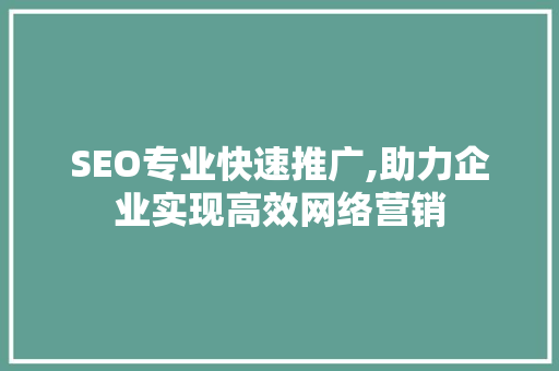 SEO专业快速推广,助力企业实现高效网络营销