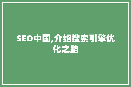 SEO中国,介绍搜索引擎优化之路