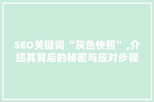 SEO关键词“灰色快照”,介绍其背后的秘密与应对步骤
