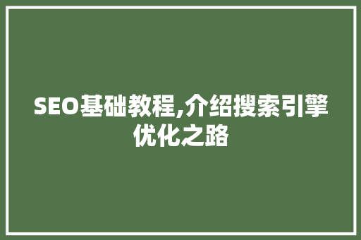 SEO基础教程,介绍搜索引擎优化之路