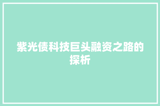 紫光债科技巨头融资之路的探析