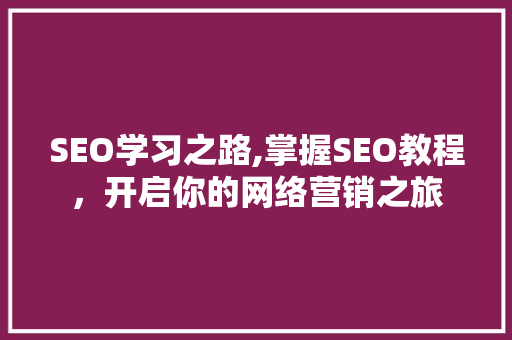 SEO学习之路,掌握SEO教程，开启你的网络营销之旅