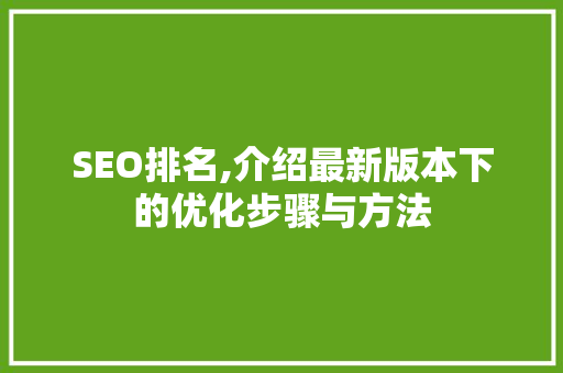 SEO排名,介绍最新版本下的优化步骤与方法