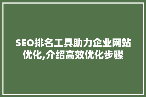 SEO排名工具助力企业网站优化,介绍高效优化步骤