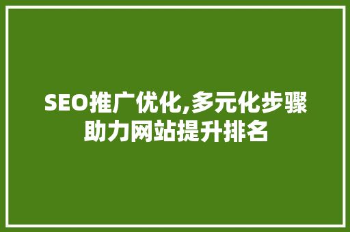SEO推广优化,多元化步骤助力网站提升排名