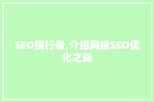 SEO搜行者,介绍网络SEO优化之路