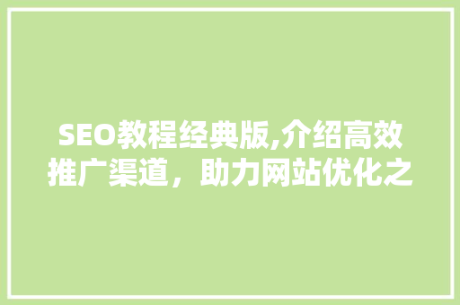 SEO教程经典版,介绍高效推广渠道，助力网站优化之路