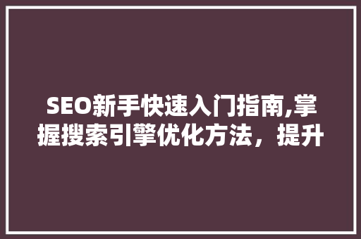 SEO新手快速入门指南,掌握搜索引擎优化方法，提升网站排名