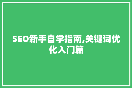 SEO新手自学指南,关键词优化入门篇