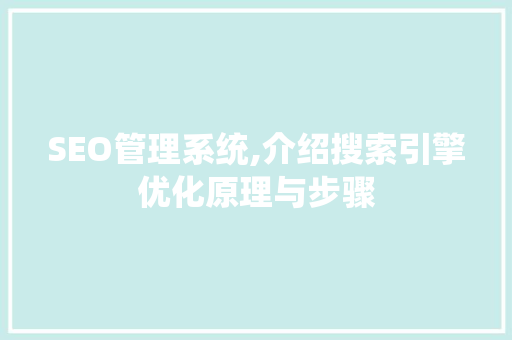 SEO管理系统,介绍搜索引擎优化原理与步骤  第1张