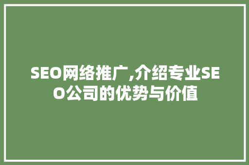 SEO网络推广,介绍专业SEO公司的优势与价值