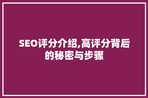 SEO评分介绍,高评分背后的秘密与步骤  第1张