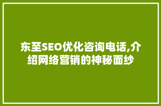 东至SEO优化咨询电话,介绍网络营销的神秘面纱