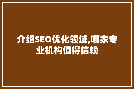 介绍SEO优化领域,哪家专业机构值得信赖