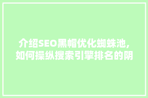介绍SEO黑帽优化蜘蛛池,如何操纵搜索引擎排名的阴暗面