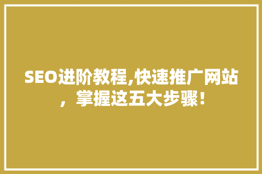 SEO进阶教程,快速推广网站，掌握这五大步骤！  第1张