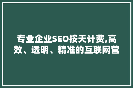 专业企业SEO按天计费,高效、透明、精准的互联网营销解决方法