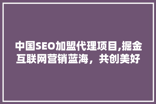 中国SEO加盟代理项目,掘金互联网营销蓝海，共创美好未来