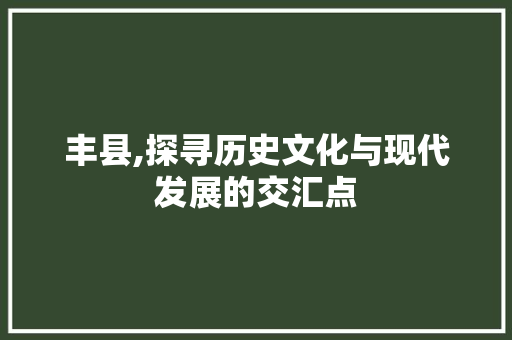 丰县,探寻历史文化与现代发展的交汇点  第1张
