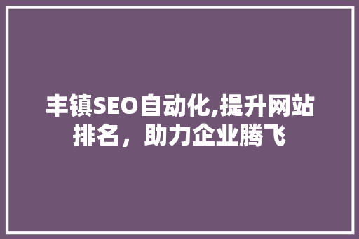 丰镇SEO自动化,提升网站排名，助力企业腾飞